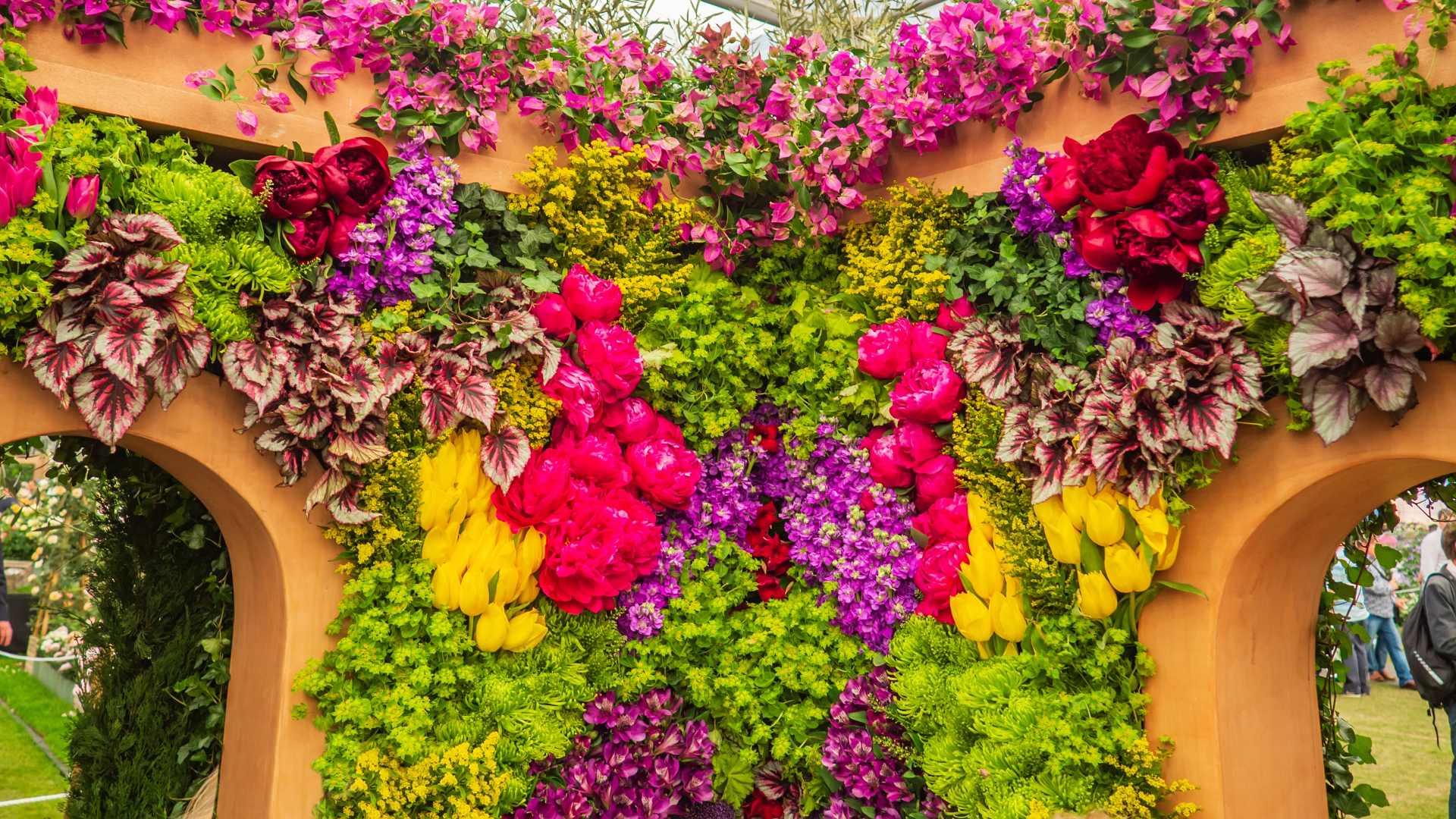 colourful floral arrangement at the royal chelsea flower show