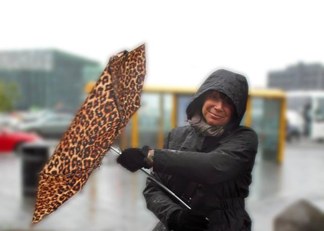 2014 10 luisa gemma umbrella in reykjavik1